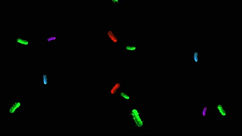 Animated Few Germs Bacteria Virus Floating around Stock-Footage 132710664