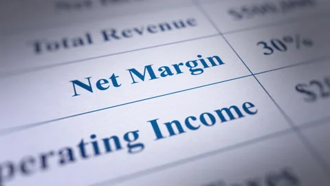 Animated Financial Report with a Focus on Net Margin Figures Stock Footage 255890939