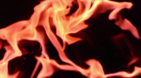 Animated Fire Background Video stock 31164302