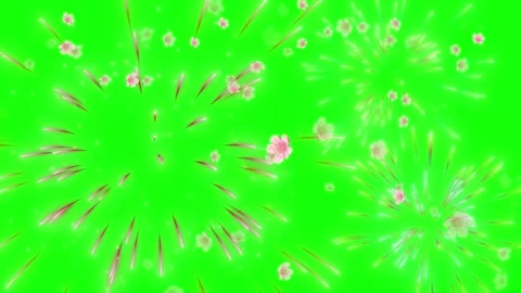 Animated Fireworks Explosion with Falling Cherry Blossom Petals on a Green Stock Footage 338327410