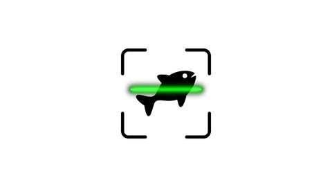 Animated fish icon with a scanning green light against a white background r.. Stock Footage 346498439