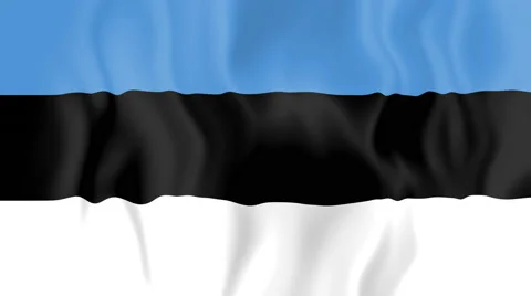 Animated flag of Estonia Stock Footage 58782042