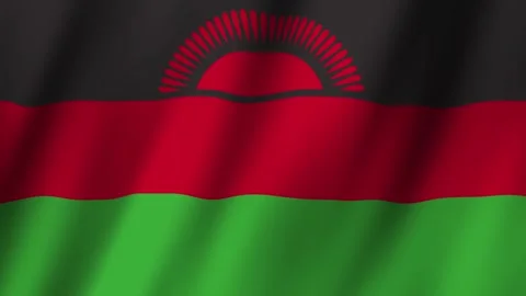 Animated Flag Malawi 4k video Video stock 291434532