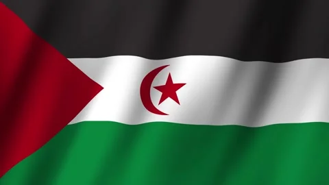 Animated Flag Sahrawi Arab Democratic Republic 4k video Stock Footage 292005331