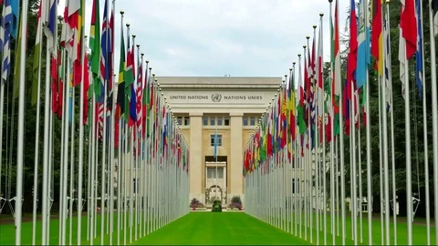 Animated flags Stock Footage 79626572