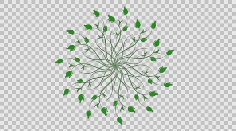 Animated floral pattern Alpha channel Stock Footage 59876252