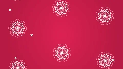 Animated floral pattern with elegant white flowers and decorative elements .. Vídeos de archivo 338314947