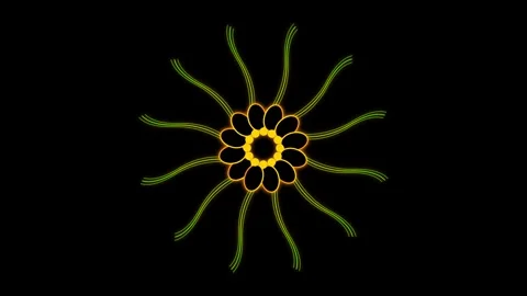 Animated floral pattern rotating on black background 4K video Stock Footage 345548940