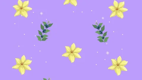 Animated floral pattern with yellow flowers and blue berries falling on pur.. Stock Footage 333547138