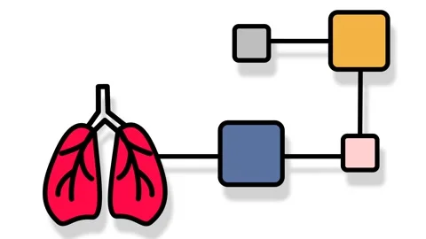 Animated flowchart icon Stock Footage 280281791