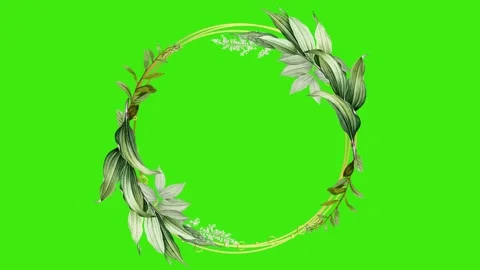 Animated flower frame on green screen	 Stock Footage 150772573