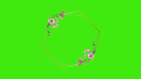 Animated flower frame on green screen	 Stock Footage 150774633