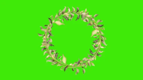 Animated flower frame on green screen	 Stock Footage 150775218