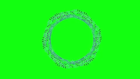 Animated flower frame on green screen	 Stock Footage 151127470