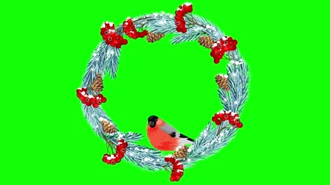 Animated flower frame on green screen	 Stock Footage 151136988