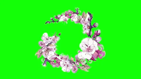Animated flower frame on green screen	 Stock Footage 151139422