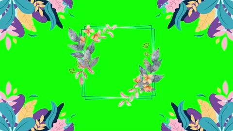 Animated flower frame on green screen	 Stock Footage 151237989