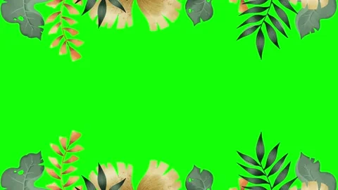 Animated flower frame on green screen	 Stock Footage 151238012