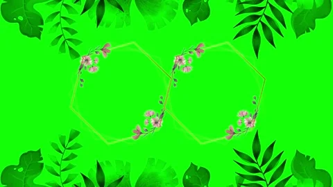 Animated flower frame on green screen	 Stock Footage 151238038