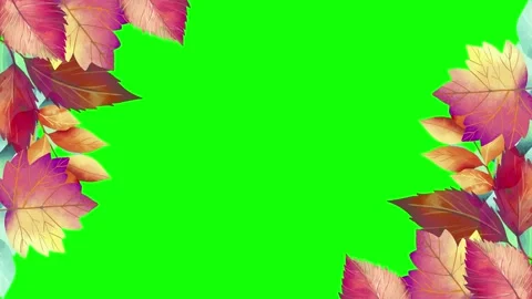 Animated flower frame on green screen	 Stock Footage 151238122