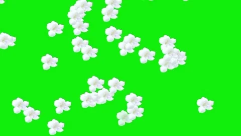 Animated Flower Rain with Green Background Stock-Footage 303382702