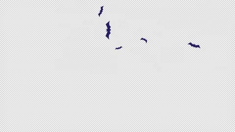 Animated Flying Bat Stock Videos – Royalty-Free HD & 4K Videos | Page 3