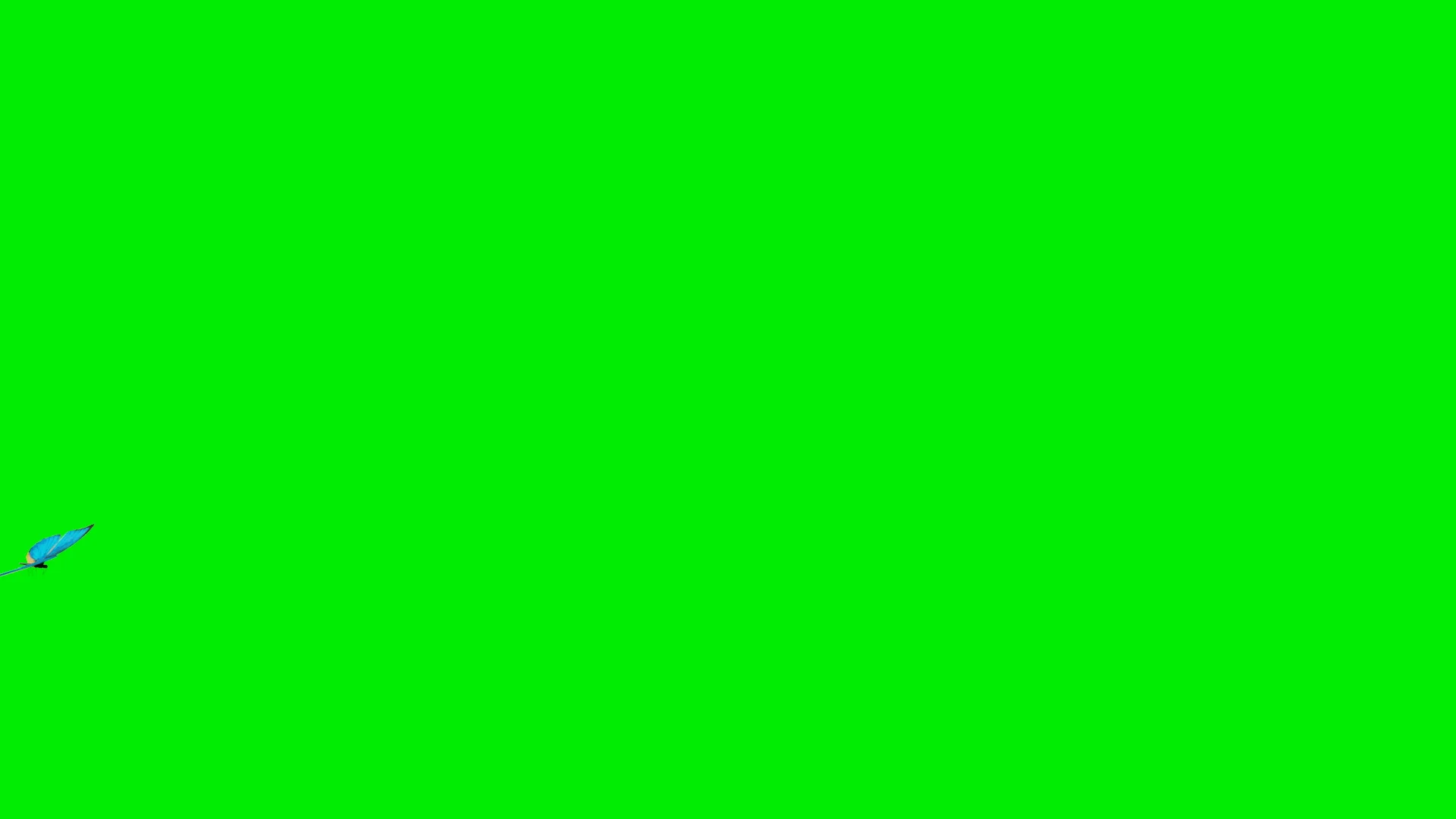 Nemo green screen