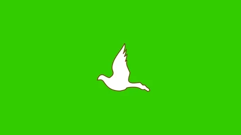 Animated Flying White Dove Видео 278342083