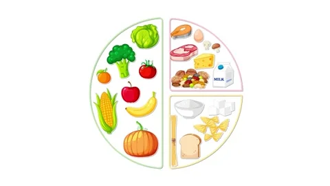 Animated Food Group Circle Divided by Food Types on White Stock Footage 320997286