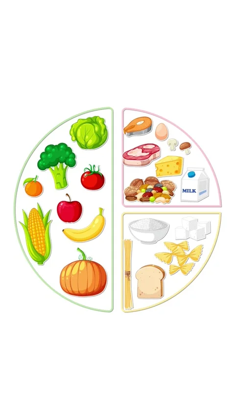 Animated Food Group Circle Divides Into Nutritional Sections Stock Footage 316587979