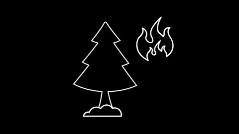 Animated forest fire icons in thin line style Stock Footage 316249990