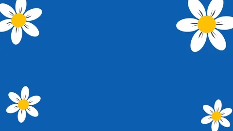 Animated frame of four spinning daisy flowers on a blue background Video stock 316400622