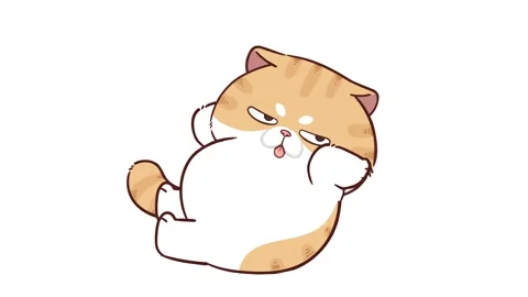 Animated Funny Cat Doing Sit-Ups - White Background Stock Footage 282789105