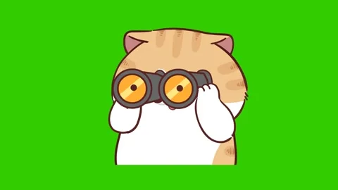 Animated Funny Cat Looking Through a Telescope - Green Screen Stock Footage 282790194