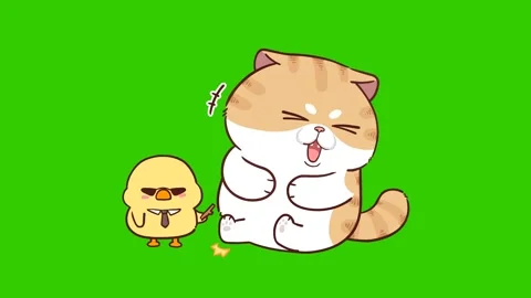 Animated Funny Cat Tickled by Stick and Laughing - Green Screen Stock Footage 282790113