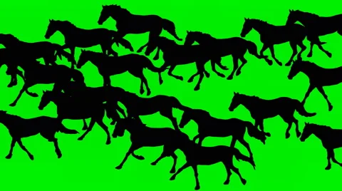 ANIMATED GALLOPING HORSES Animated galloping horses.Hand drawn animation. Video stock 66513810