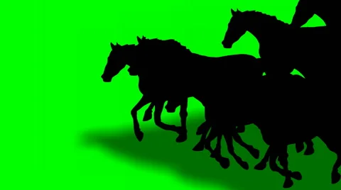 ANIMATED GALLOPING HORSES Animated galloping horses.Hand drawn animation. Stock-Footage 68843002