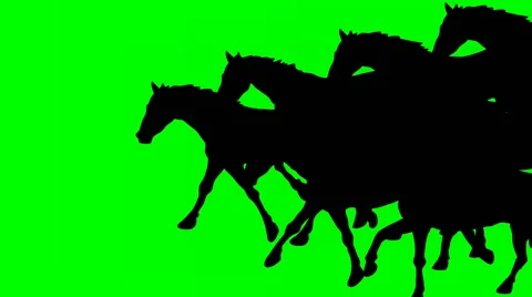 ANIMATED GALLOPING HORSES Animated galloping horses.Hand drawn animation. Stock-Footage 68843028