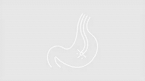 Animated gastrointestinal endoscopy white line icon Stock Footage 318070036