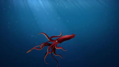 Animated Giant Squid Swimming in the Deep Sea Stock Footage 240077270