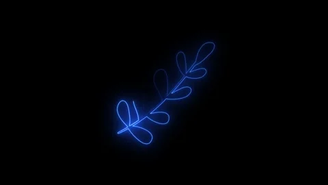 Animated glowing blue leaf branch on black background Stock Footage 346191526