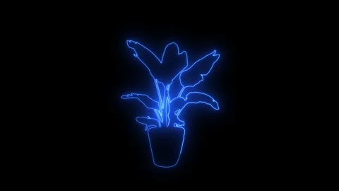 Animated glowing plant in a pot performing growth animation Stock Footage 345834581