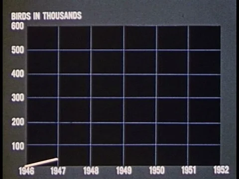 An animated graph shows preventive medicine in commercial poultry broiler 스톡 동영상 75199625
