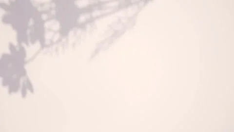 Animated graphics leaf shadow with natural light Stock Footage 245710182