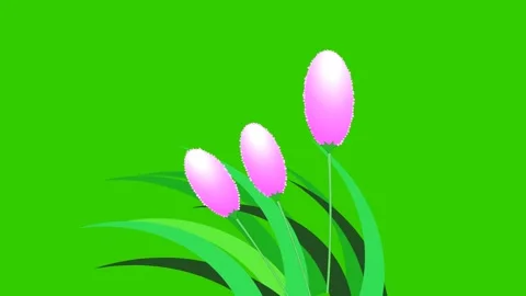 Animated Grass Flowers Stock Footage 278342793