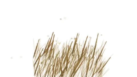 Animated Grass Stock Footage 278343243