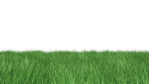 animated grass isolated with alpha | Stock Video | Pond5