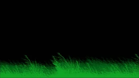 Animated grass walking Stock Footage 229844425