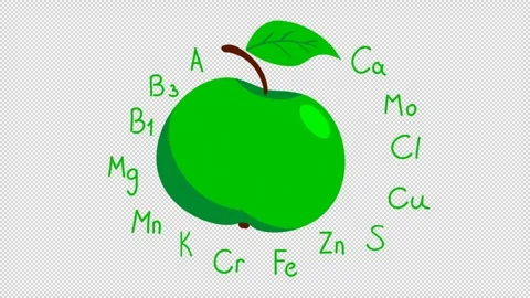 Animated green apple. Stock Footage 300280554