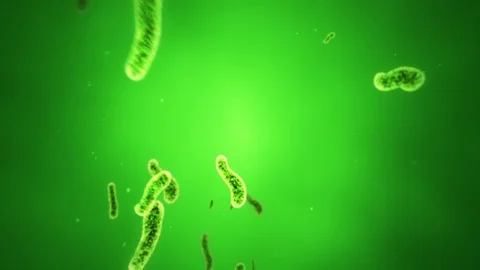 Animated Green Bacteria in Plasma Stock Footage 72140525